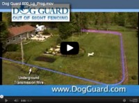 DogGuard Video